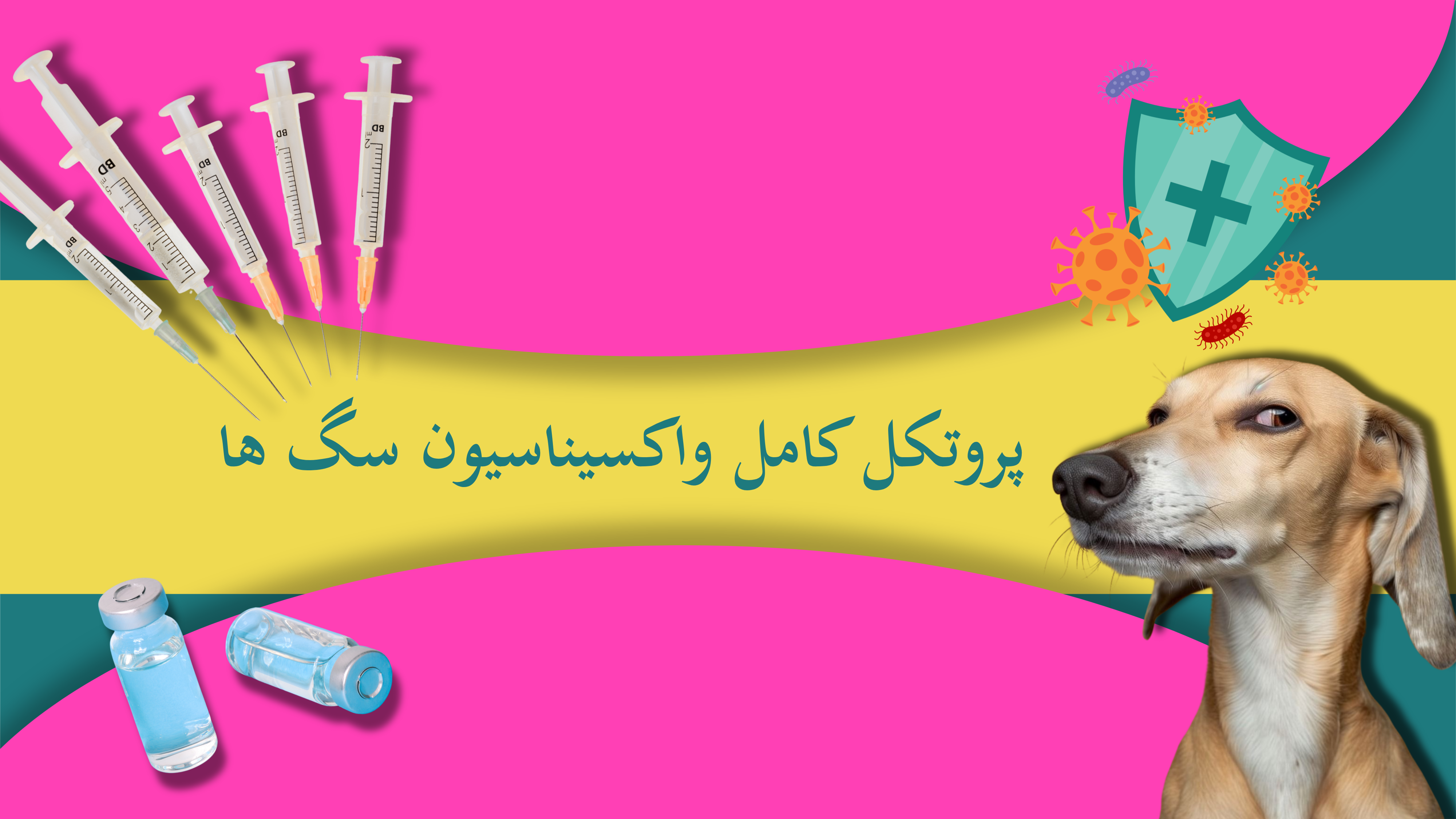 پروتکل کامل واکسیناسیون سگ ها