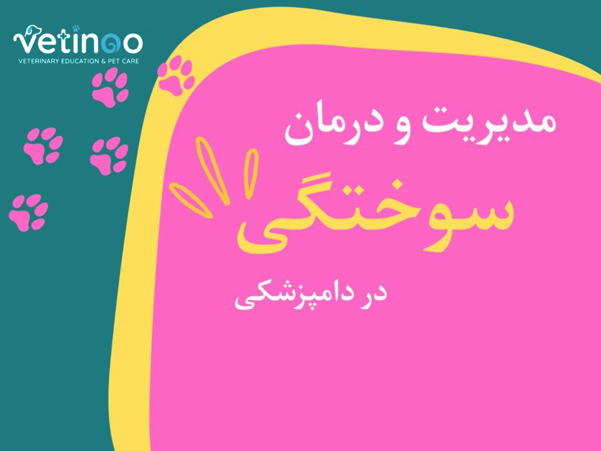 🚨 اصول مدیریت و درمان سوختگی در دامپزشکی